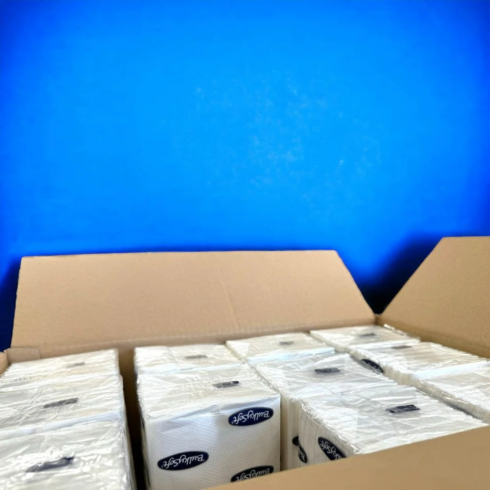 2 Ply - White - C-Fold - Paper Hand Towels - Image 13