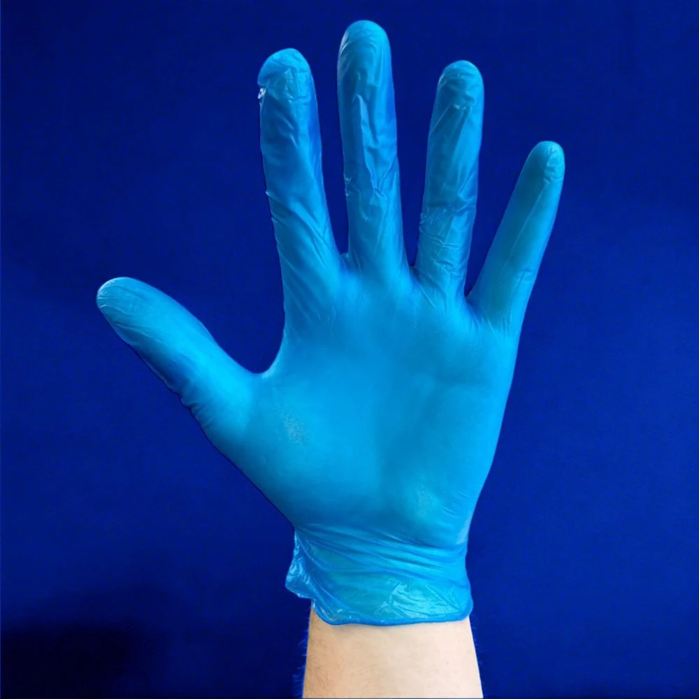 Blue Vinyl Gloves - Powder Free - Image 5