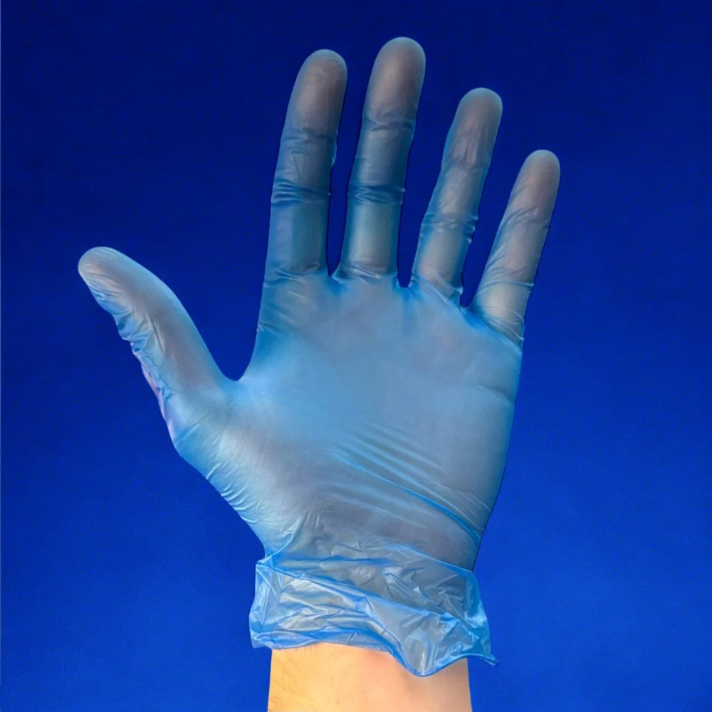 Blue Vinyl Gloves - Powder Free - Image 5