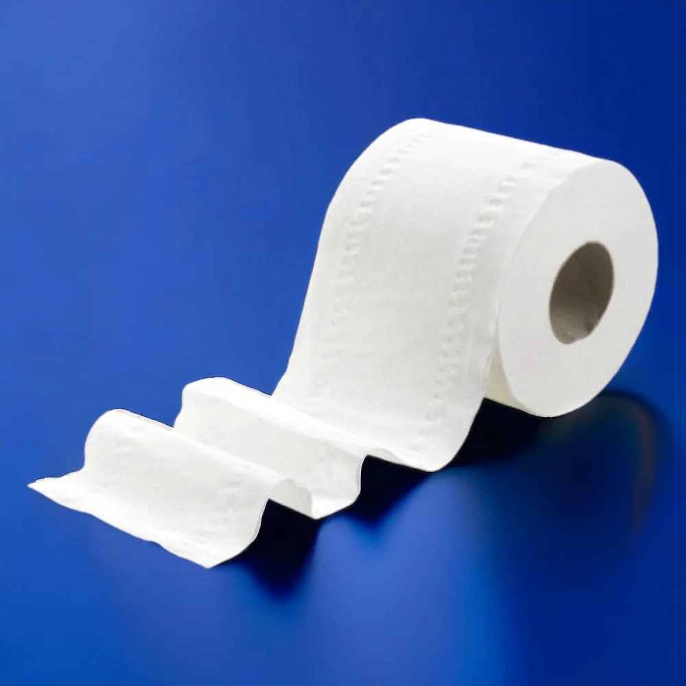 Bulk Toilet Paper - Image 7