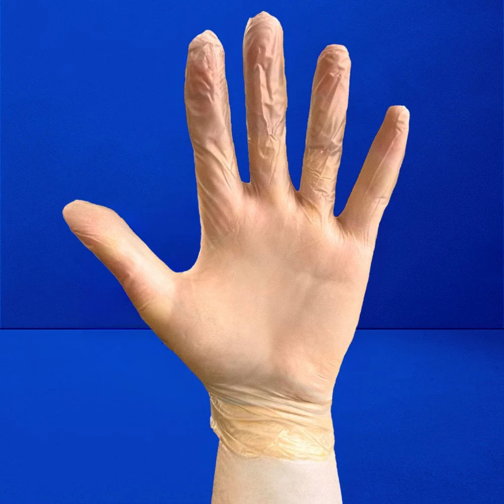 Clear Vinyl Gloves - Powder Free - Image 6