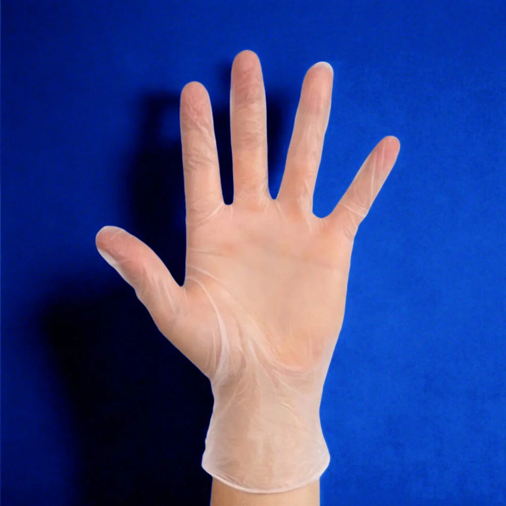 Delight - Vinyl Gloves - Powder Free - Image 5