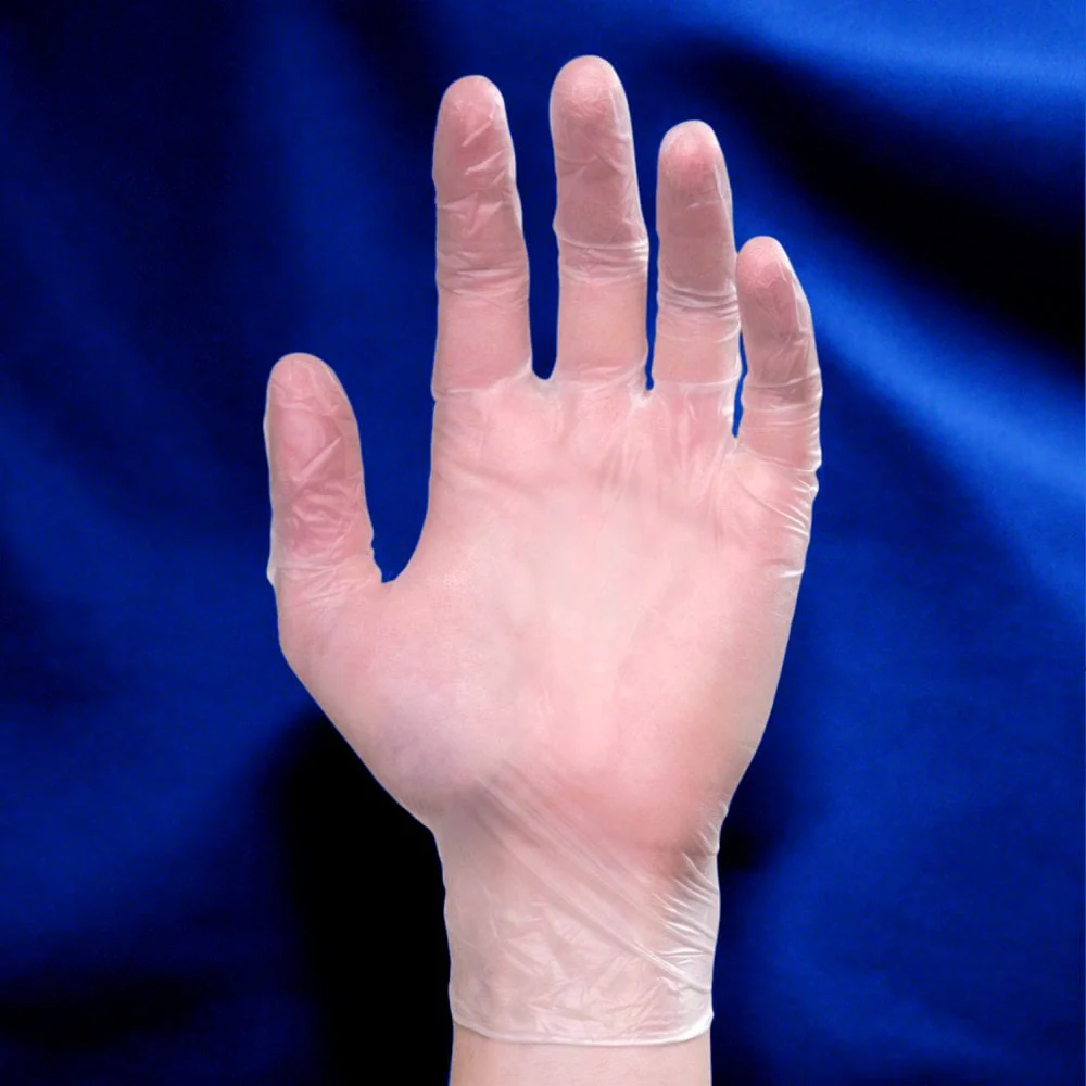 Vinyl Gloves - Powder Free - Image 5